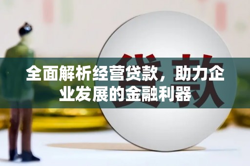 后壁全面解析经营贷款，助力企业发展的金融利器