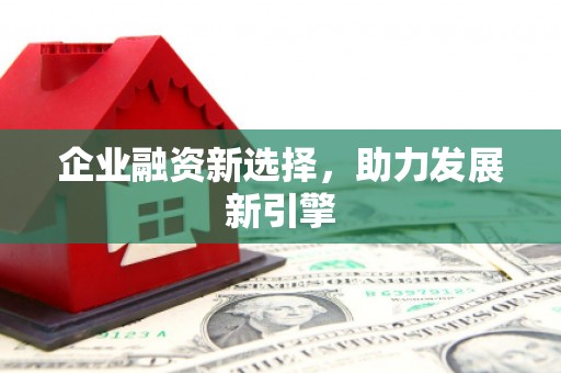 后壁企业融资新选择，助力发展新引擎