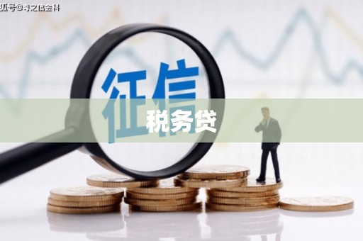后壁税务贷