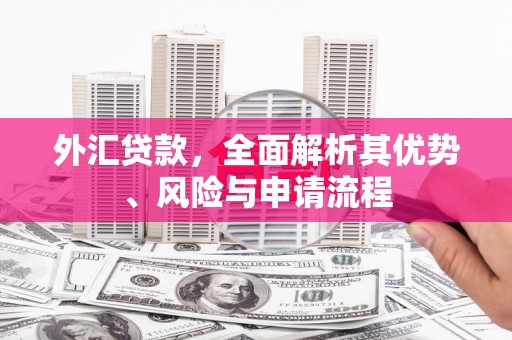 后壁外汇贷款，全面解析其优势、风险与申请流程