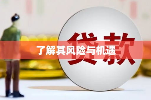 后壁了解其风险与机遇