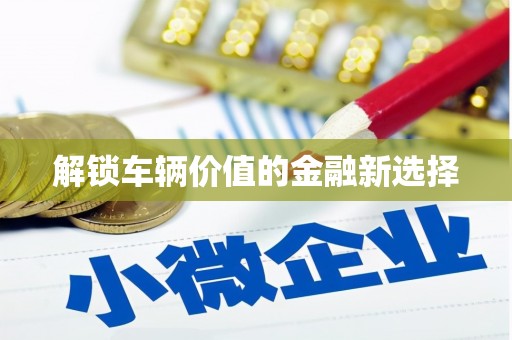 后壁解锁车辆价值的金融新选择