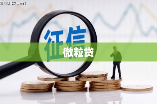 后壁微粒贷