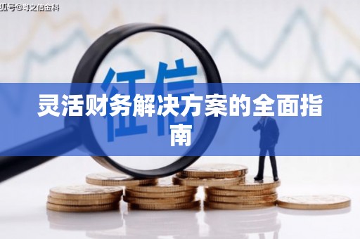 后壁灵活财务解决方案的全面指南