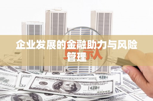 后壁企业发展的金融助力与风险管理