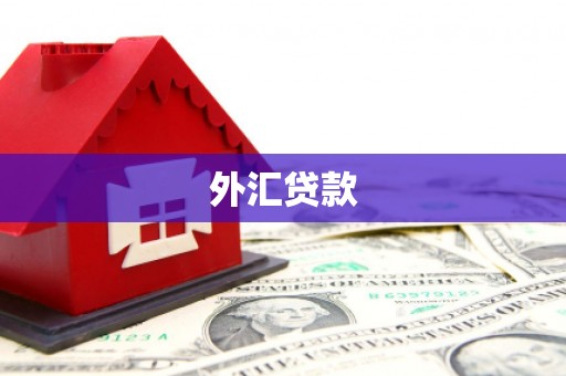 后壁外汇贷款