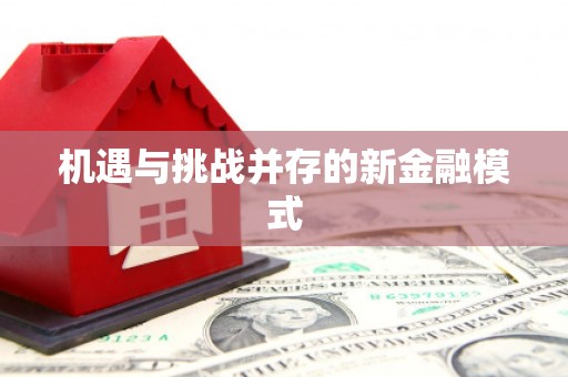后壁机遇与挑战并存的新金融模式