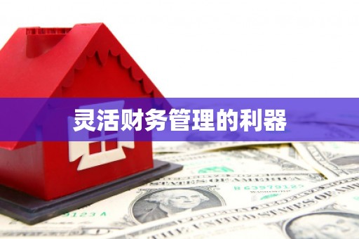 后壁灵活财务管理的利器
