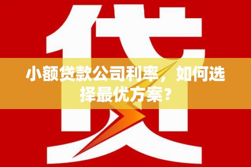 后壁小额贷款公司利率，如何选择最优方案？