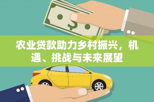 后壁农业贷款助力乡村振兴，机遇、挑战与未来展望