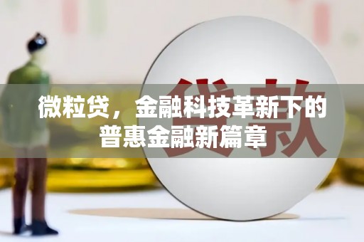 后壁微粒贷，金融科技革新下的普惠金融新篇章