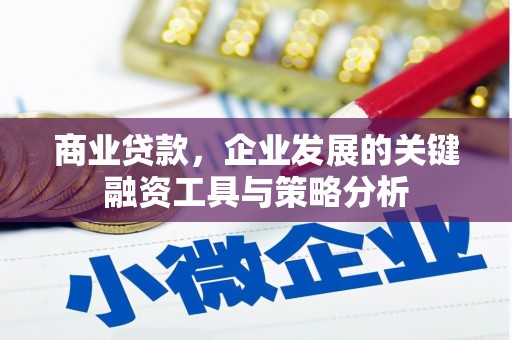 后壁商业贷款，企业发展的关键融资工具与策略分析