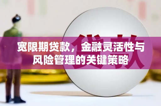 后壁宽限期贷款，金融灵活性与风险管理的关键策略