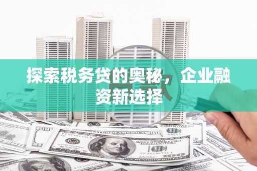 后壁探索税务贷的奥秘，企业融资新选择