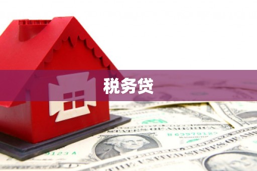 后壁税务贷