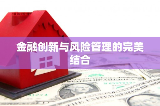 后壁金融创新与风险管理的完美结合