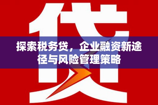 后壁探索税务贷，企业融资新途径与风险管理策略
