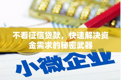 后壁不看征信贷款，快速解决资金需求的秘密武器