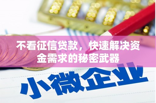 后壁不看征信贷款，快速解决资金需求的秘密武器