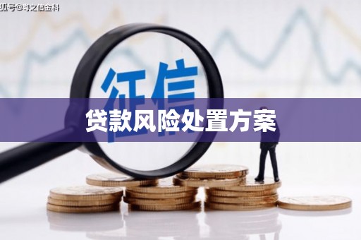 后壁贷款风险处置方案