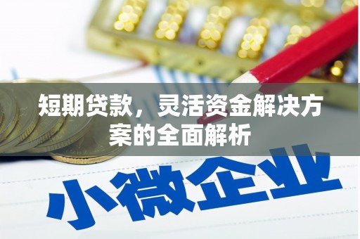 后壁短期贷款，灵活资金解决方案的全面解析