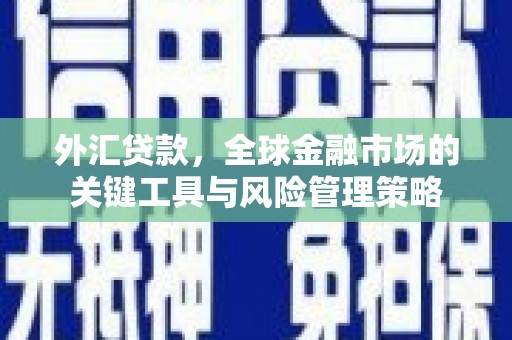 后壁外汇贷款，全球金融市场的关键工具与风险管理策略