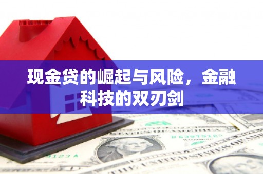后壁现金贷的崛起与风险，金融科技的双刃剑