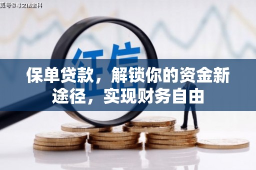 后壁保单贷款，解锁你的资金新途径，实现财务自由
