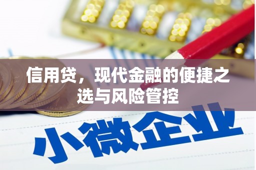后壁信用贷，现代金融的便捷之选与风险管控