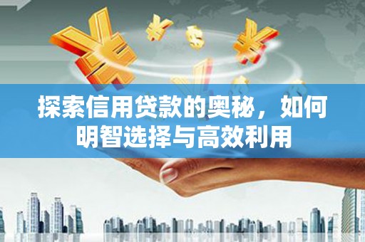 后壁探索信用贷款的奥秘，如何明智选择与高效利用