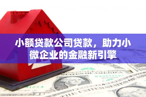 后壁小额贷款公司贷款，助力小微企业的金融新引擎