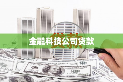 后壁金融科技公司贷款