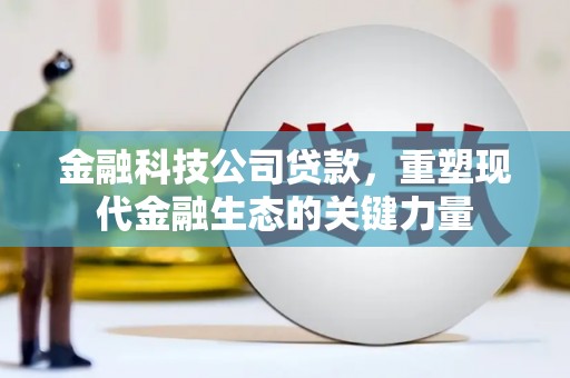 后壁金融科技公司贷款，重塑现代金融生态的关键力量