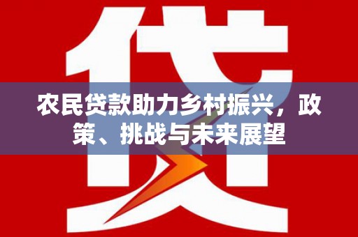 后壁农民贷款助力乡村振兴，政策、挑战与未来展望