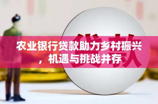 后壁农业银行贷款助力乡村振兴，机遇与挑战并存