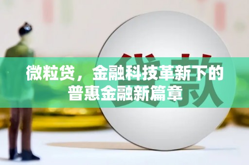 后壁微粒贷，金融科技革新下的普惠金融新篇章