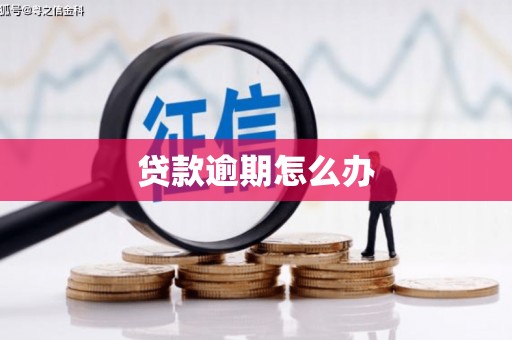 后壁贷款逾期怎么办
