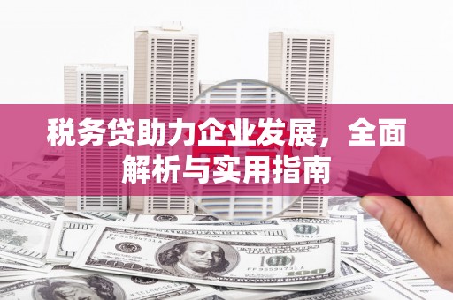 后壁税务贷助力企业发展，全面解析与实用指南