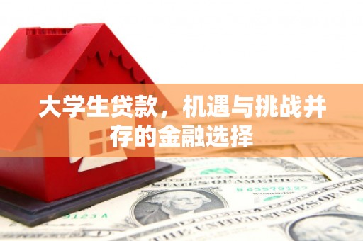 后壁大学生贷款，机遇与挑战并存的金融选择