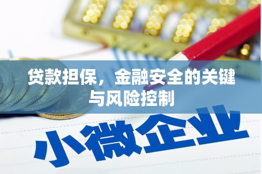 后壁贷款担保，金融安全的关键与风险控制