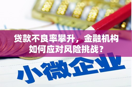 后壁贷款不良率攀升，金融机构如何应对风险挑战？