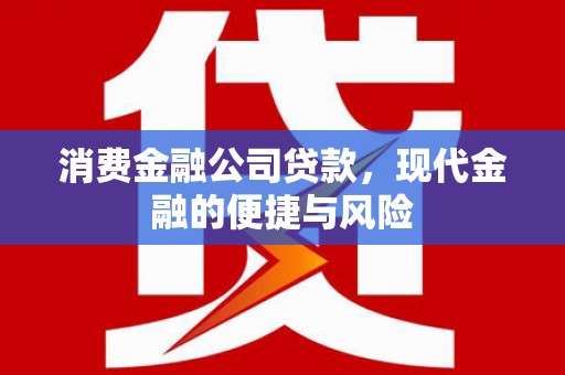 后壁消费金融公司贷款，现代金融的便捷与风险