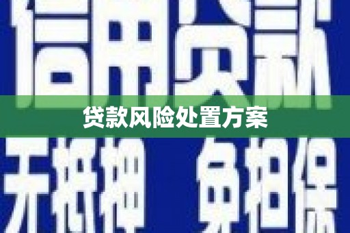 后壁贷款风险处置方案