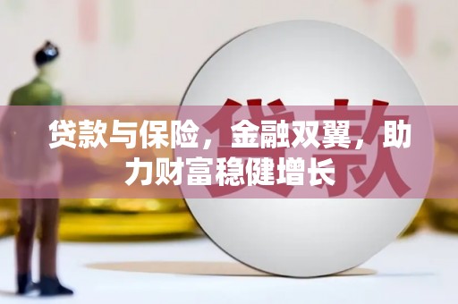后壁贷款与保险，金融双翼，助力财富稳健增长