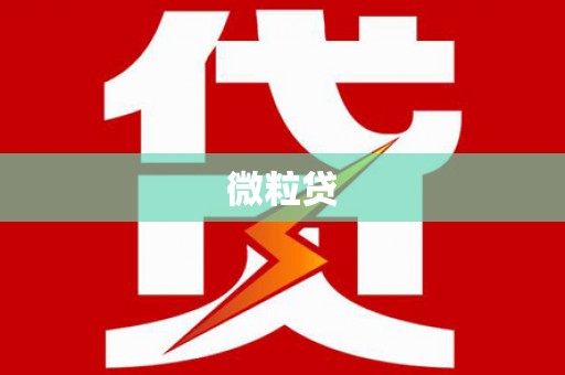 后壁微粒贷