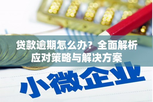 后壁贷款逾期怎么办？全面解析应对策略与解决方案