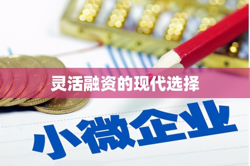 后壁灵活融资的现代选择
