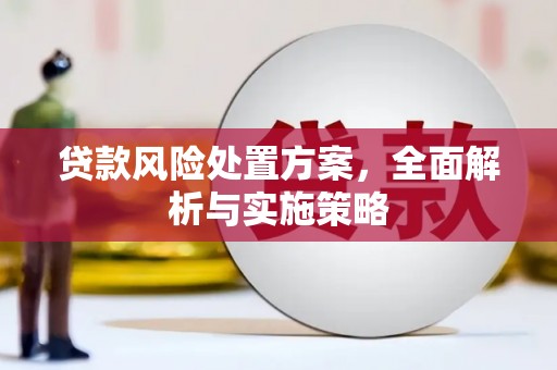 后壁贷款风险处置方案，全面解析与实施策略