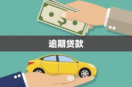 后壁逾期贷款